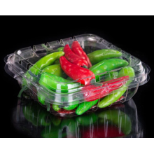 Bulk fruit clamshell box online purchase