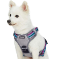 Multi-Colored Stripe Dog Harness