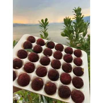 Premium Red Bayberry from Yunnan
