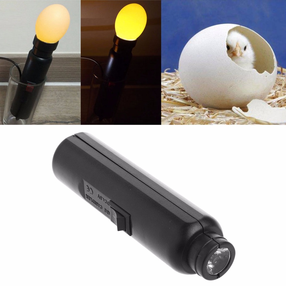LED Light Incubator Egg Candler Tester For Hatching Eggs Quail Poultry EU Plug