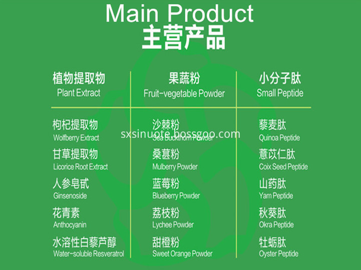 Name Card