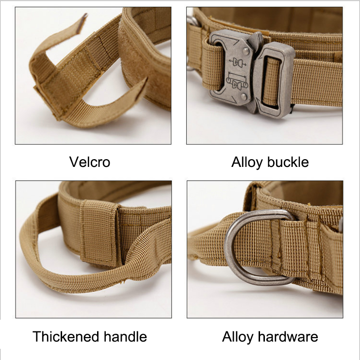 Tactical Dog Collar Personalized