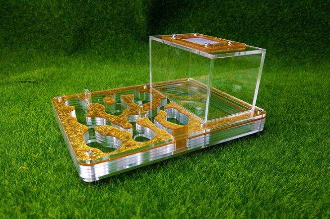 Big Size 194x145x77MM Ant Nest New Ants Farm Acrylic Ant Workshop Insect Cages Granja de hormigas nid fourmis Villa Pet Mania