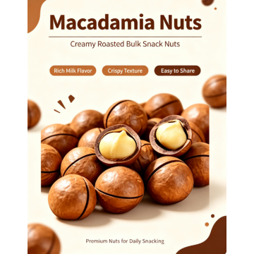 Premium Roasted Macadamia Bulk Snack Nuts