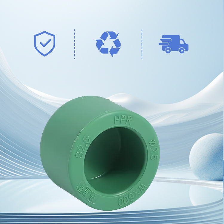 Ppr Cap Plug