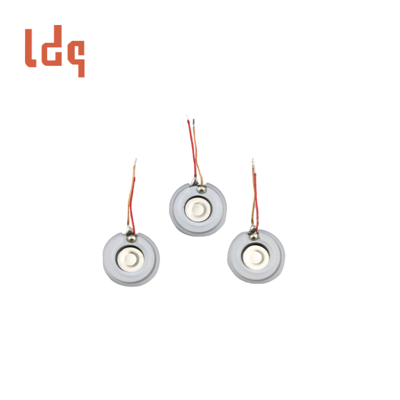 Atomizing Plate For Oral Atomizer