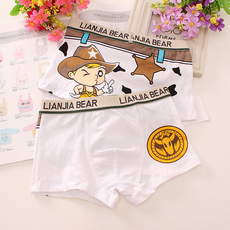 6pcs/lot Kids Underpants Baby's Cute Cartoon Ventilate Underwear Boxer Boys Pure Cotton Soft Boxers 2-10Y