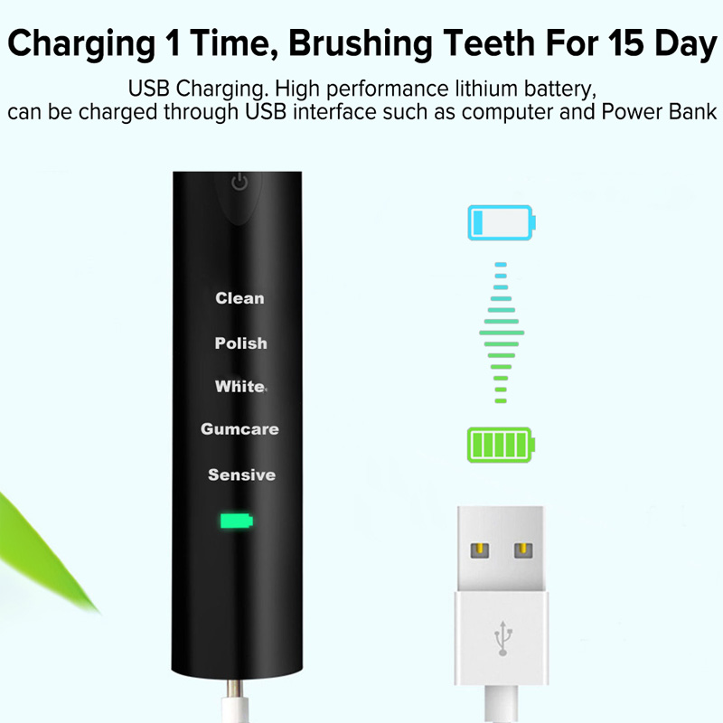 Electric Toothbrush Rechargeable 5 Modes Sonic Toothbrush with 4 Brush Head Waterproof Timer Tooth Brush Whitening for Adults