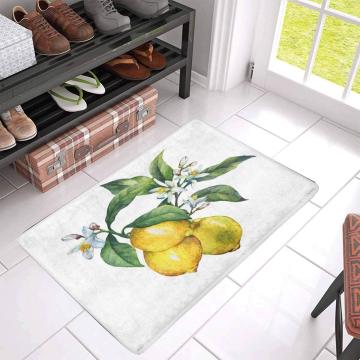 Fresh Citrus Fruit Lemon Doormat Indoor Entrance Rug Floor Shoe Scraper Door Mat Non-Slip Home Decor, Rubber Backing
