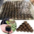 100pcs Peat Pellets Plant Seedling Soil Blocks Starting Plugs Garden Tools for Indoor Home Gardening Greenhouse 30mm