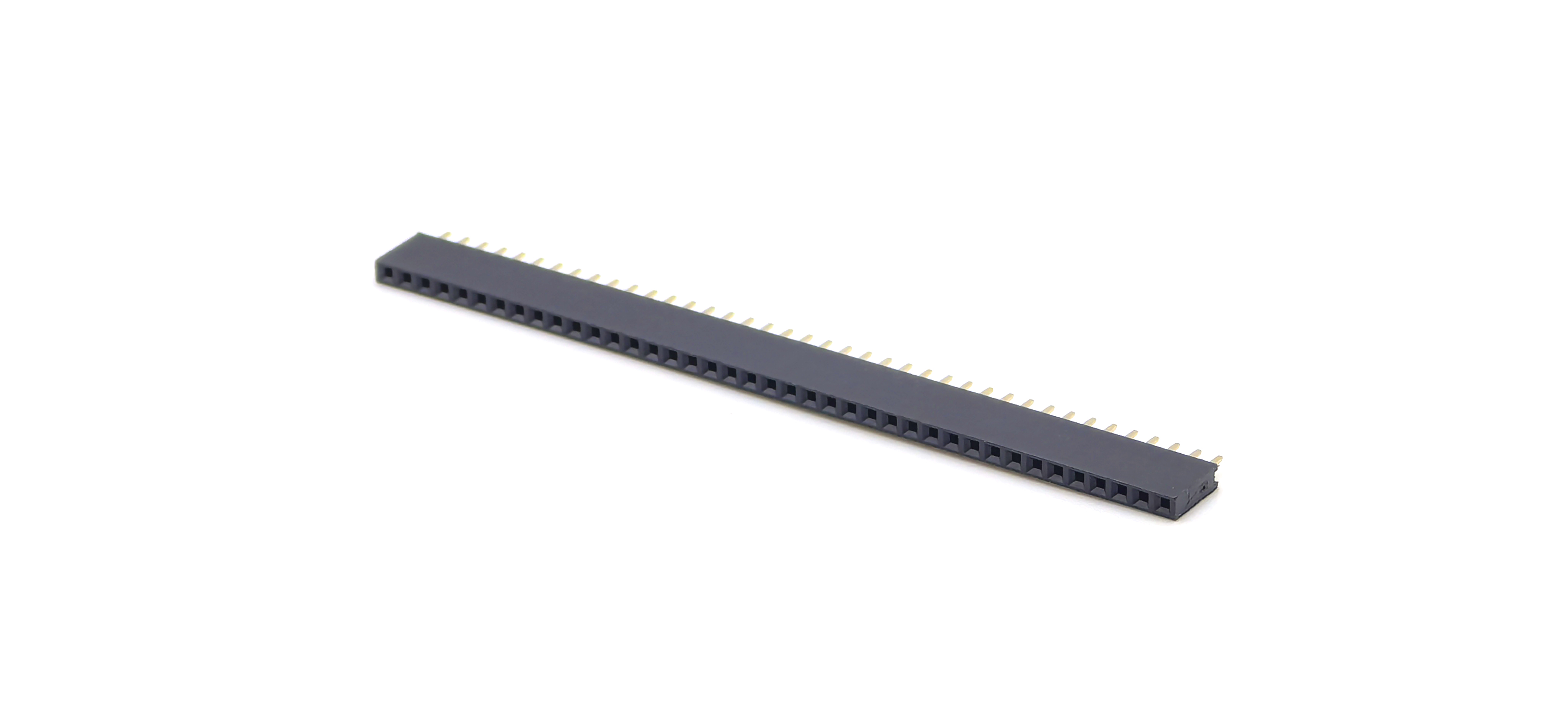 Main-04