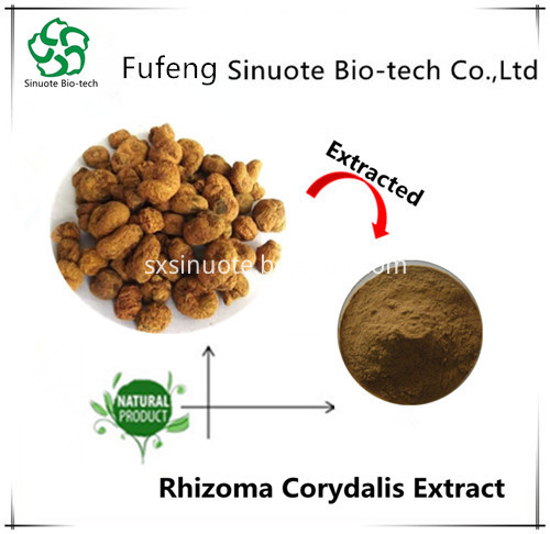 Rhizoma Corydalis Extract