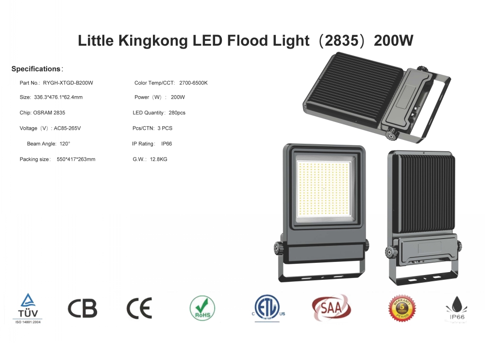 led flood light specifications-RYGH-20217
