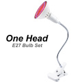 1 head and bulb