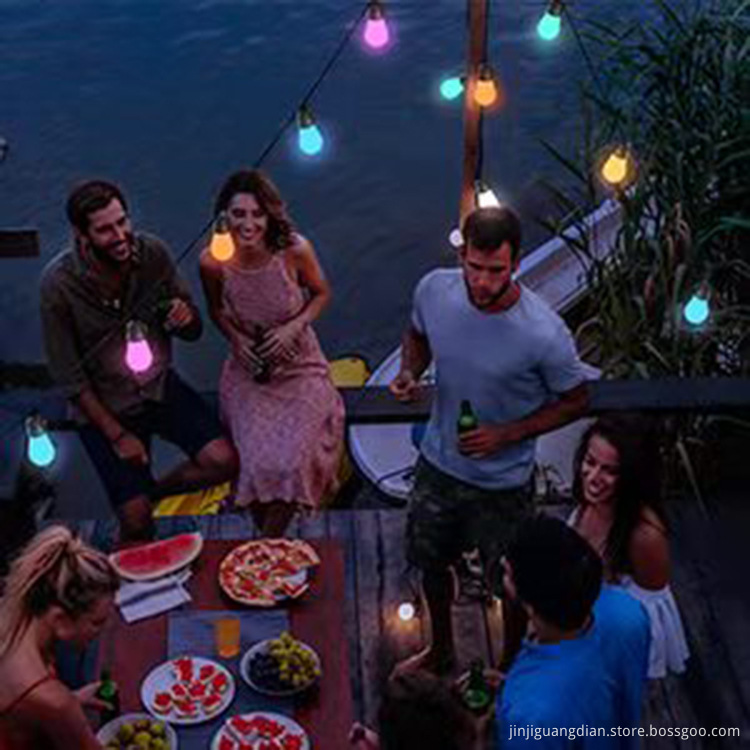 Running Bulb String Lights
