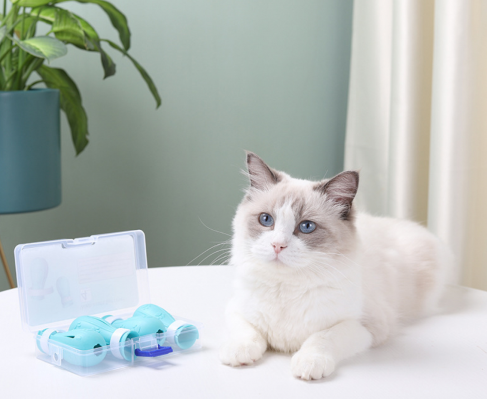 Pet Grooming Shoes