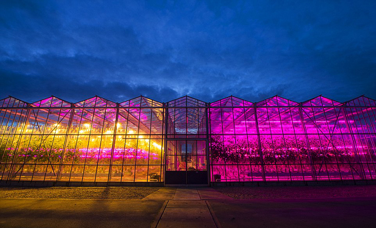 greenhouses wavelengths of light