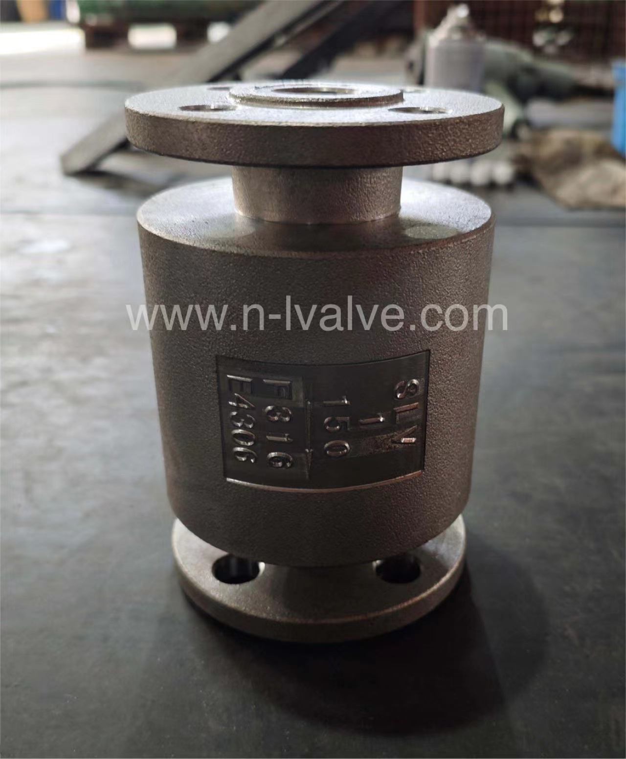 Inline Strainer4