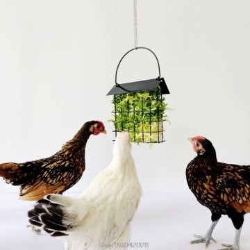 Chicken Feeder Basket Chicks Foraging Toy Metal Hanging Birdfeeders Bird Feeding Device for Small Parakeets D18 20 Dropship