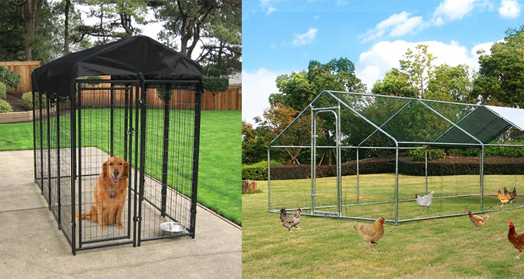 dog kennel