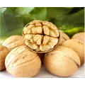 High quality  walnut or  walnut  oil