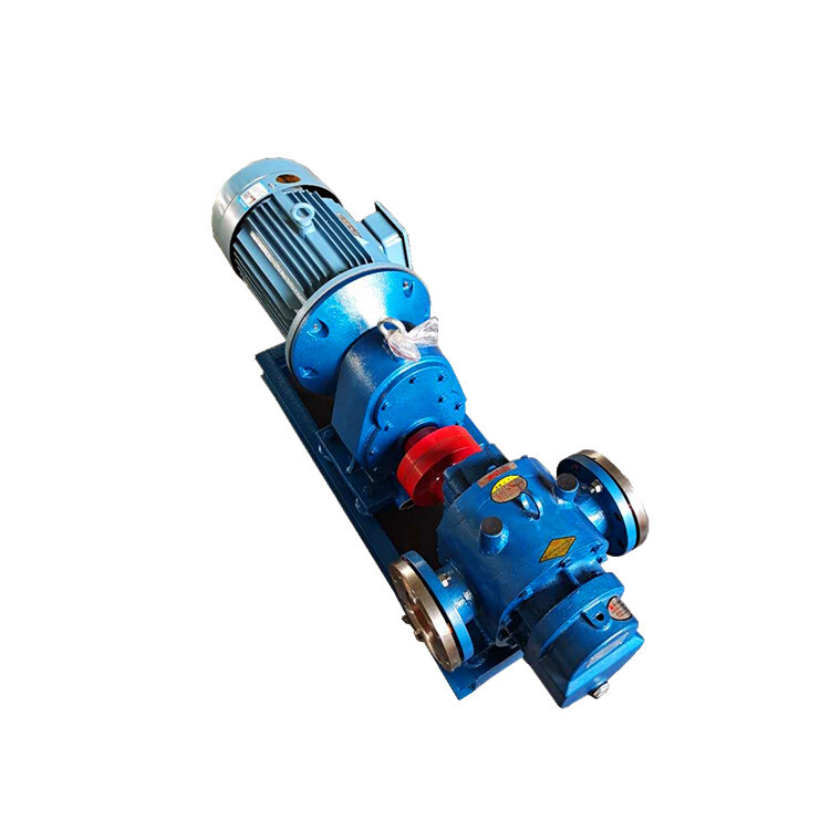 High Viscosity Rotor Pump Syrup Pump Heat Preservation Rotor Pump8