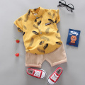 Boy Clothing Casual Baby Girl's Summer Clothes Set Sports Shirt+ Shorts Suits Clothes Cotton Products Kids Clothes