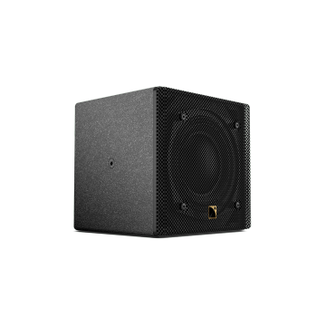 5XT Passive 2-Way Coaxial Speaker