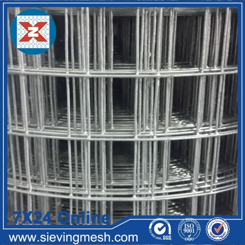 Galvanized before Welded Wire Mesh wholesale