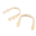 28pcs/set Resin Teeth Denture Upper Lower Shade A2 Manufactured Artificial Preformed Dentition Oral Care Material Tool