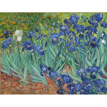 Van Gogh Painting By Numbers Flower DIY Craft Kits Handmade On Canvas With Frame Acrylic Paint For Adults Coloring By Numbers