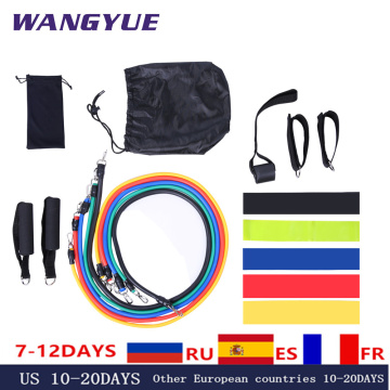 17Pcs/Set Latex Resistance Bands Gym Door Anchor Ankle Straps Resist band Kit Yoga Exercise Band Fitness Rubber Loop Tube Pull