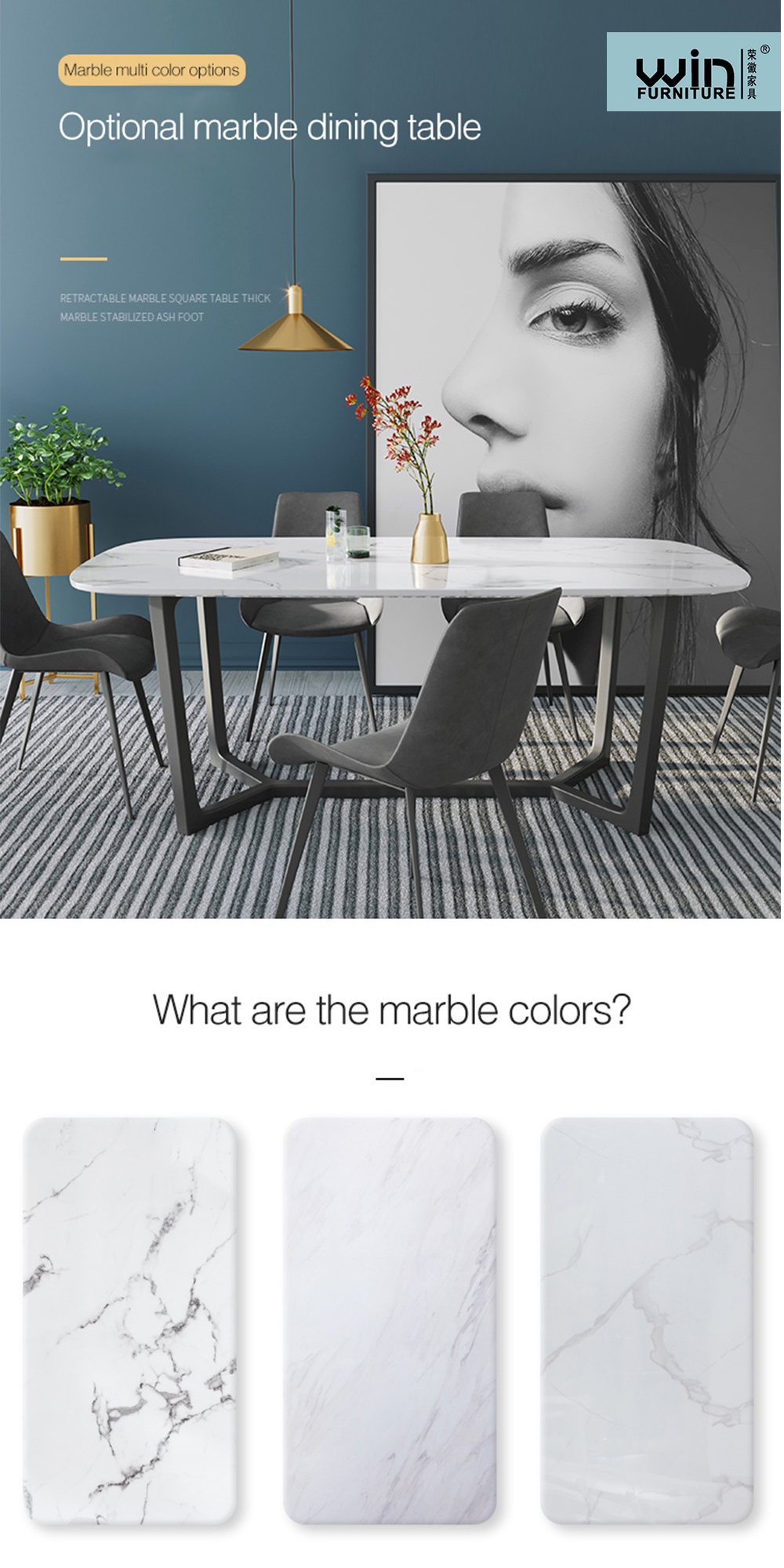Dining Table Set