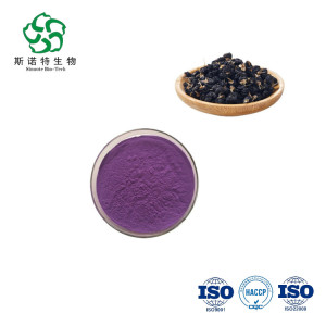 Black Goji Berry Extract Powder Wolf Berry Extract