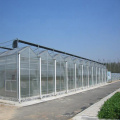 Venlo Multi-Span PC Board Agricultural Greenhouse