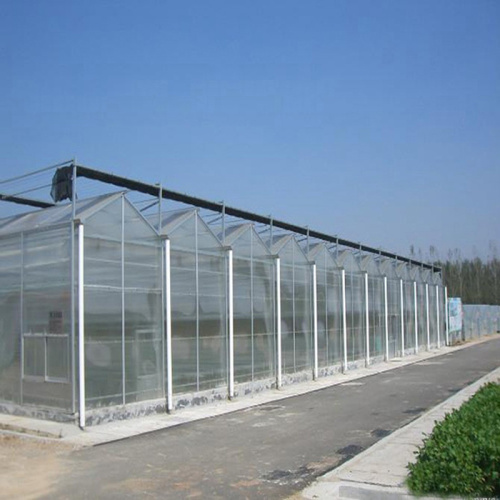 Venlo Multi-Span PC Board Agricultural Greenhouse Manufacturers and Venlo Multi-Span PC Board Agricultural Greenhouse Suppliers