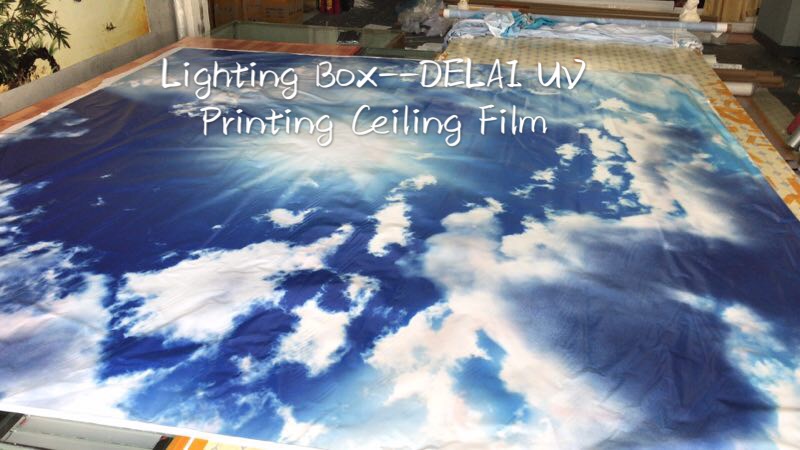 2018 49 Blue Sky /Print Ceiling tiles /PVC Stretched Ceiling Film/Home or Ceiling Decoration/Function as Ceiling Panel