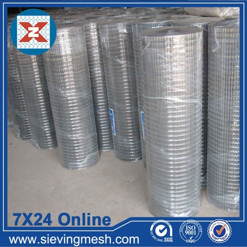 304L Welded Wire Mesh wholesale