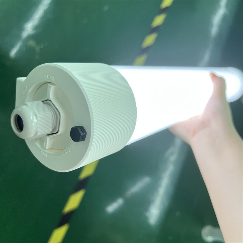 Maintained Emergency Lighting