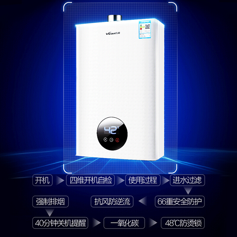 Vanward 12 Liter Balanced Smart Gas Water Heater for Bathroom Kitchen LPG Natural Gas Tankless Water Boiling Machine Instant