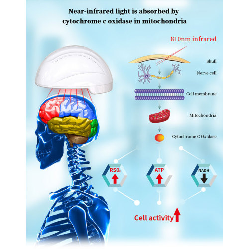 Cognitive therapy photobiomodulation 810nm infrared Helmet for Sale, Cognitive therapy photobiomodulation 810nm infrared Helmet wholesale From China