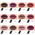 Waterproof Matte Lip Liner Lipstick Pen Makeup Tool New 12 Colors Fashion Lip Makeup Pencils Long Lasting Pigments TSLM1