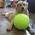 Dog Tennis Ball Giant Pet Toys for Dog