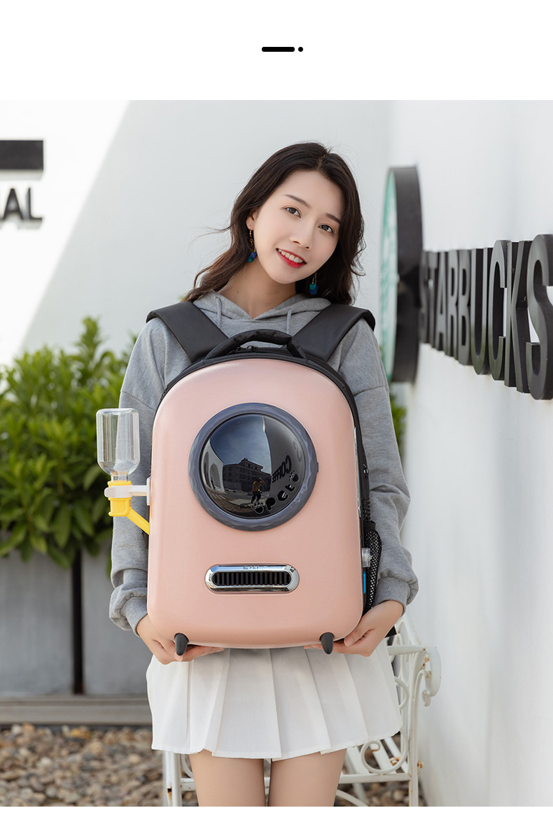 Pet Travel Carrier