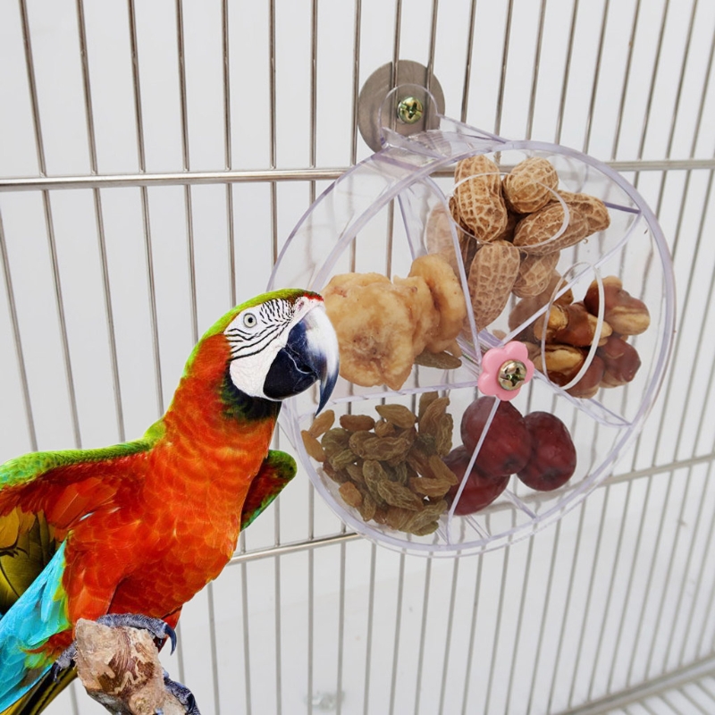 Bird Creative Foraging Toy Cage Feeder Treat Holder Seed Food Ball Rotate Wheel for Parrot Parakeet Cockatiel Conure