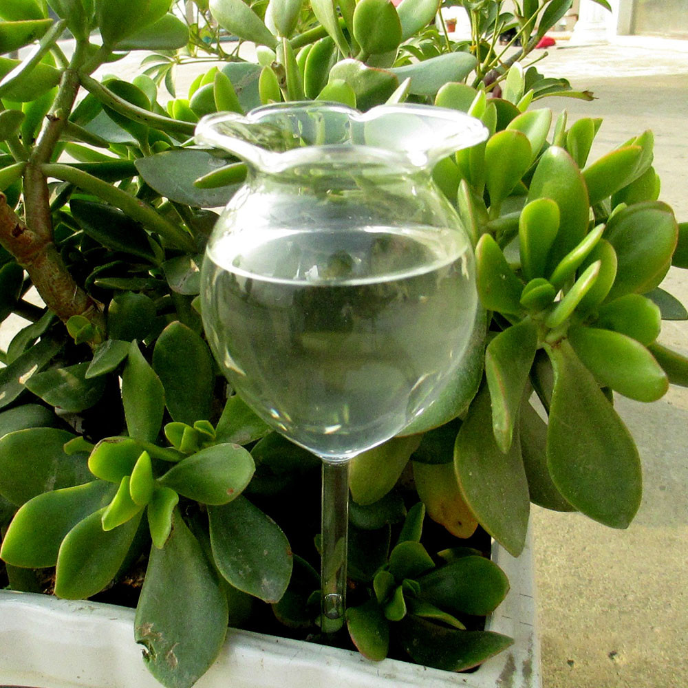 Flower Shape Indoor Automatic Flower GlassGarden Plant Watering Device Sprinkler Garden Tools L*5