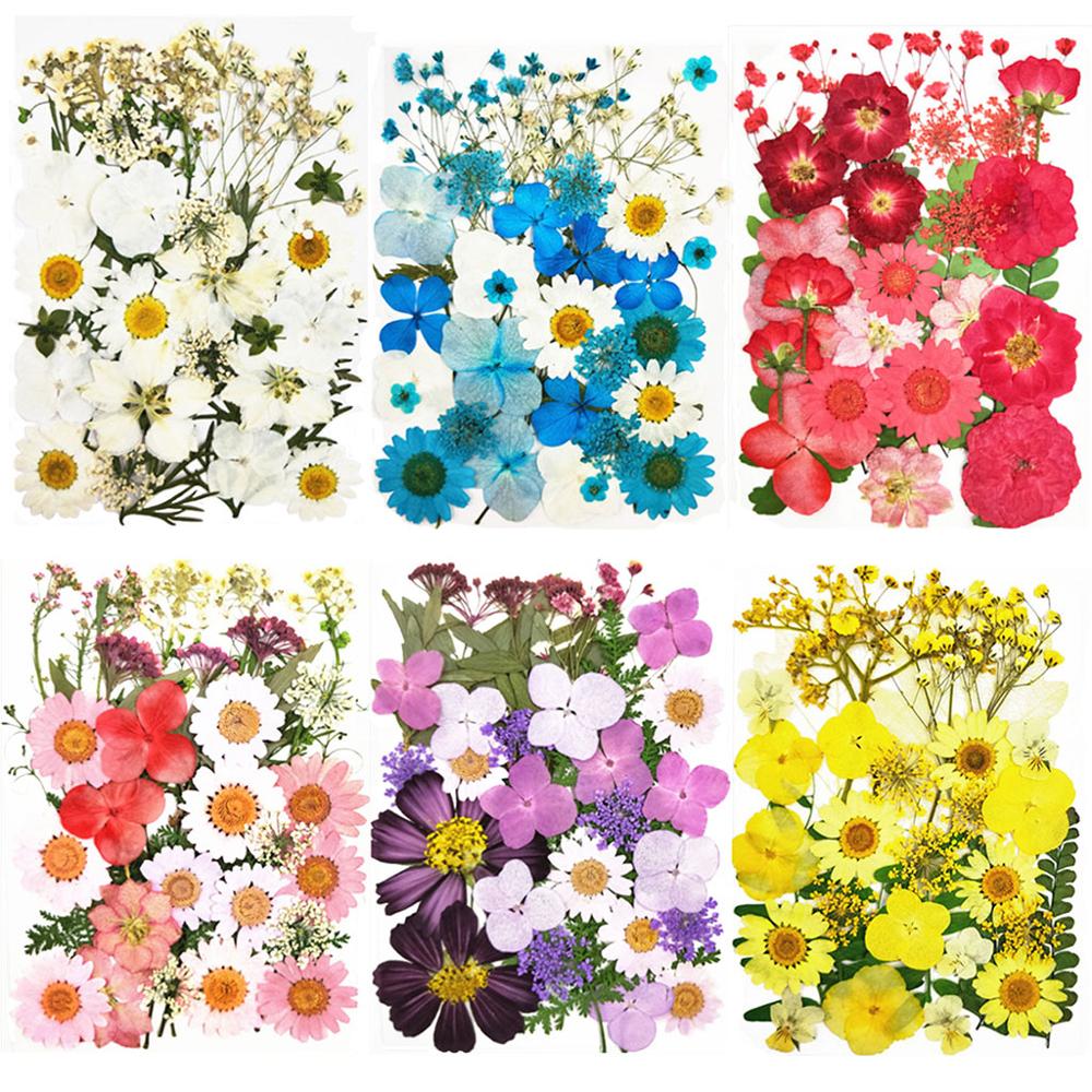 Pressed Dried Flowers Natural Dry Preserved Flower Plant for DIY Scrapbooking Bookmark Gift Box Card Album Phone Case Decoration