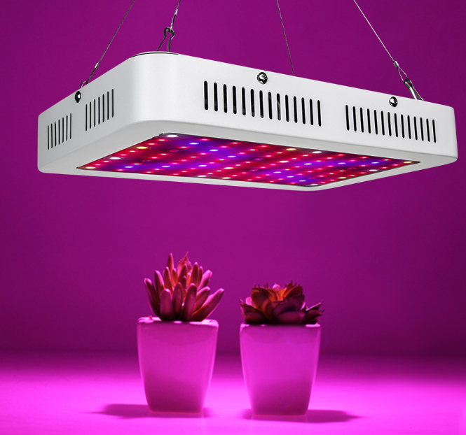 1200w Indoor Plant Light with Double Switch Bloom/Veg