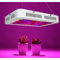 1200w Indoor Plant Light with Double Switch Bloom/Veg