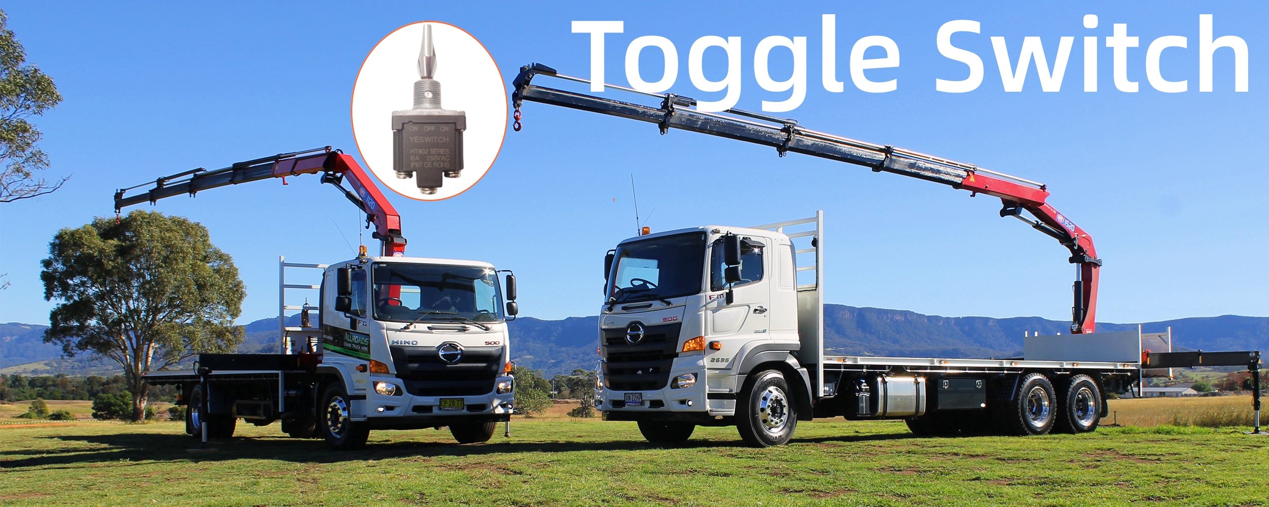 Toggle Switch
